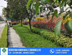 深圳馨卉園林 小區(qū)綠化帶施工與養(yǎng)護(hù)管理工程，價(jià)格優(yōu)惠，品質(zhì)卓越